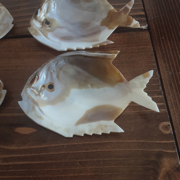 Set Of 8 Hand Carved Abalone Flounder Fish Trinket Tray Fish Decor - Picture 2 of 6